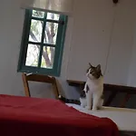 Hobi Hostel