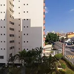 Vossa Bossa Vitta Polopoli