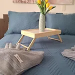 Tulipa