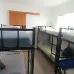 Metro Hostel Sp - Perto Do Expocenter, Estacao De Metro E Rodoviaria Tiete