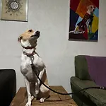 Nomade In Arte e Hostel São Paulo
