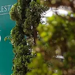 Floresta Tucuruvi (Adults Only)