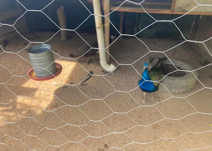 Chacara para temporada recanto da paz