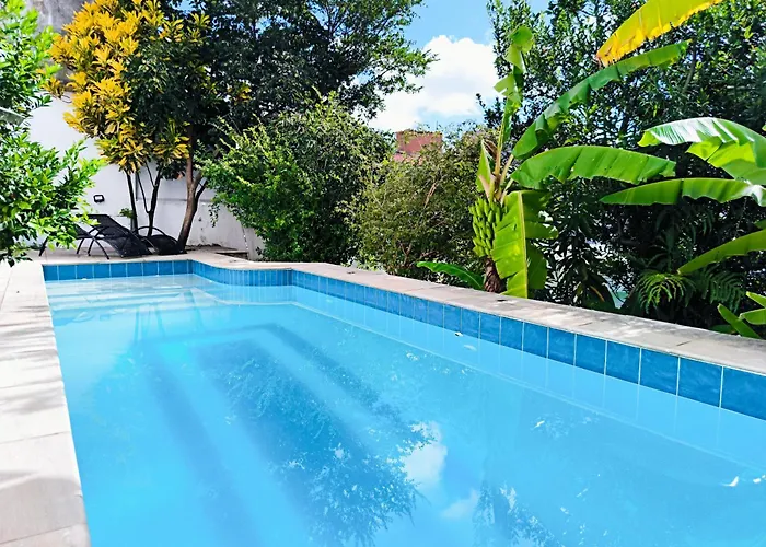Piscina E Muito Verde Na Vila Madalena