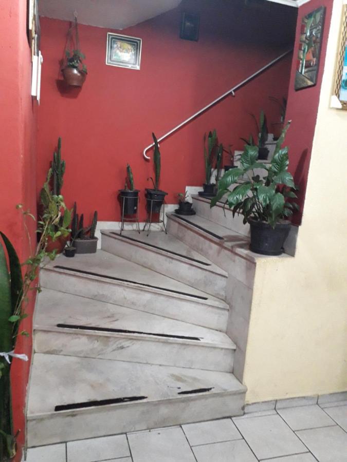 Flor Da Liberdade São Paulo