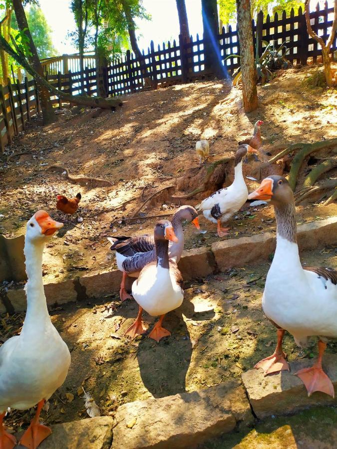 Holiday home Sitio Do Jota - Conforto E Natureza Completo Sp - Km 54 Castelo Branco *