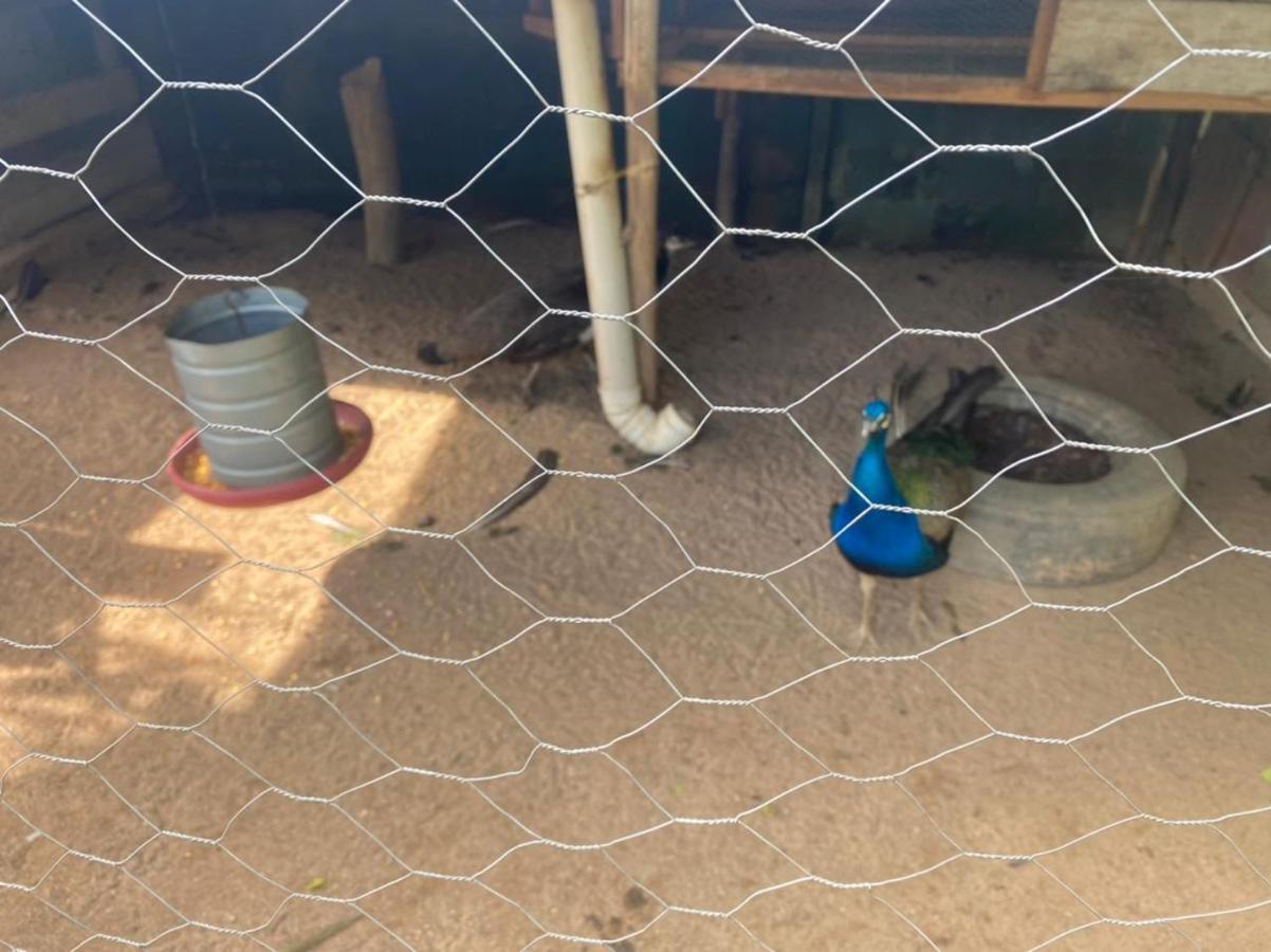 Chacara Temporada Recanto Da Paz Rumah liburan