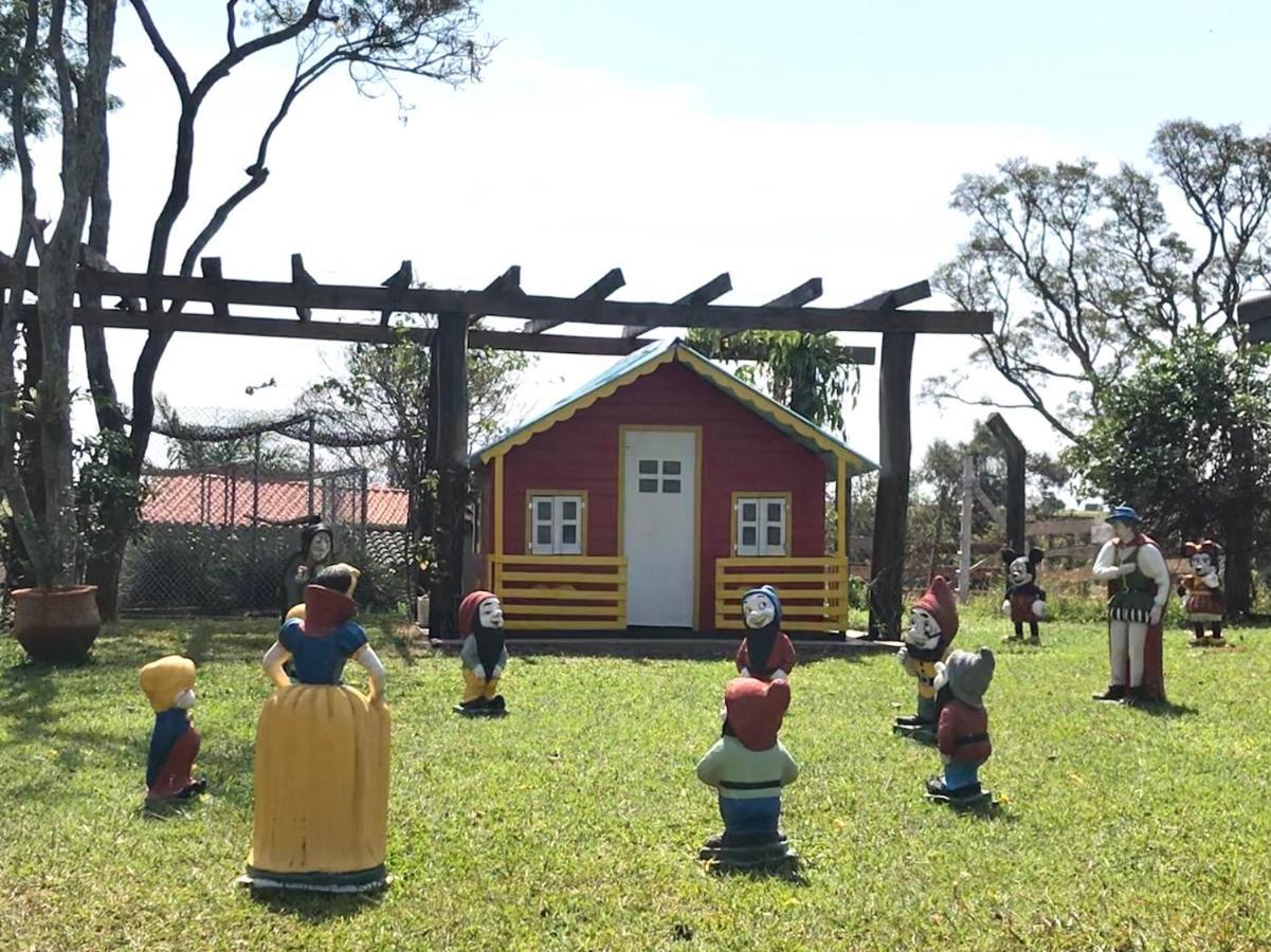 Paz E Alegria No Recanto Do Vo Loco São Paulo