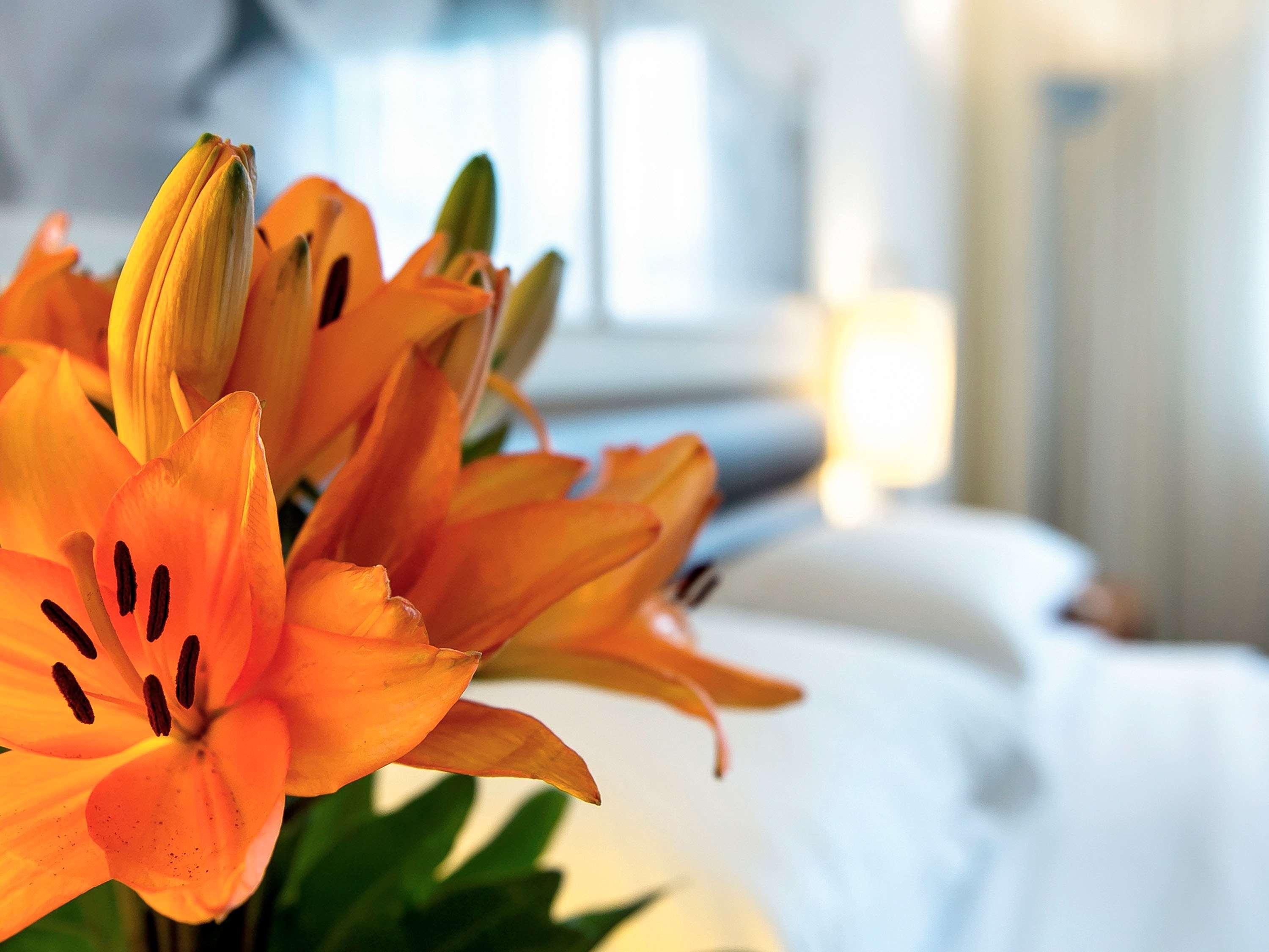 Grand Mercure Vila Olimpia Hotel 5*