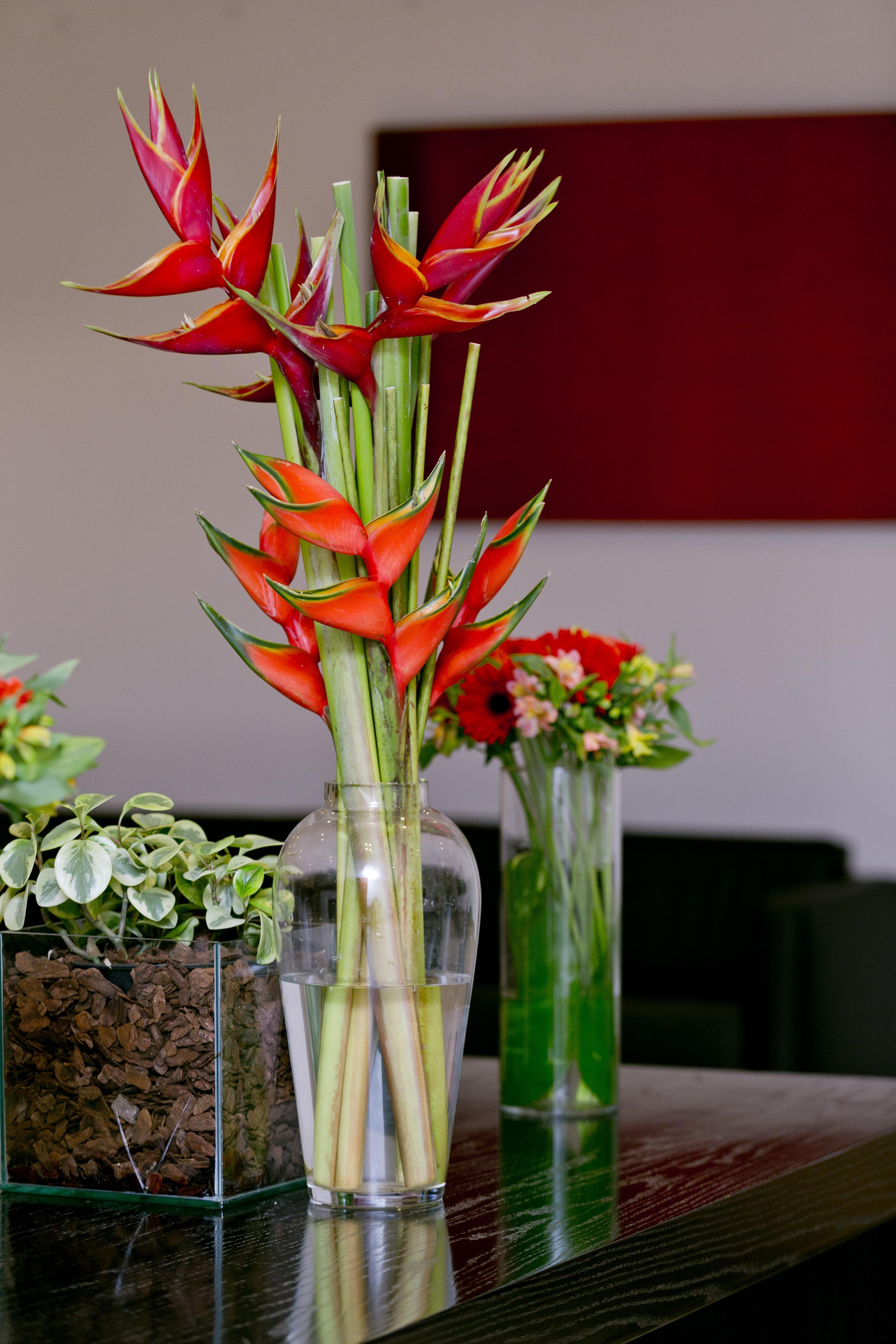 Hotel Belas Artes Sp Paulista - Managed By Accorhotels Sao Paulo