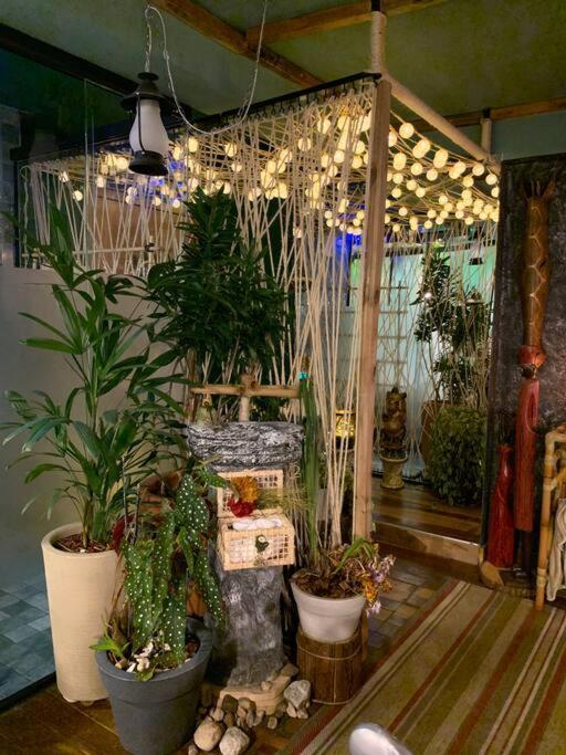 Loft Tematico Com Vista Espetacular