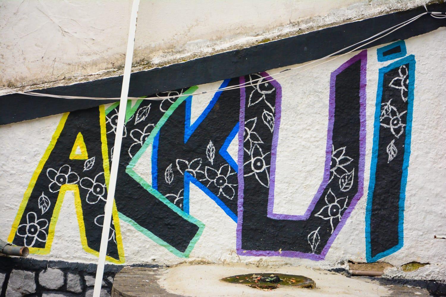 Hostel Mansao Akkui *