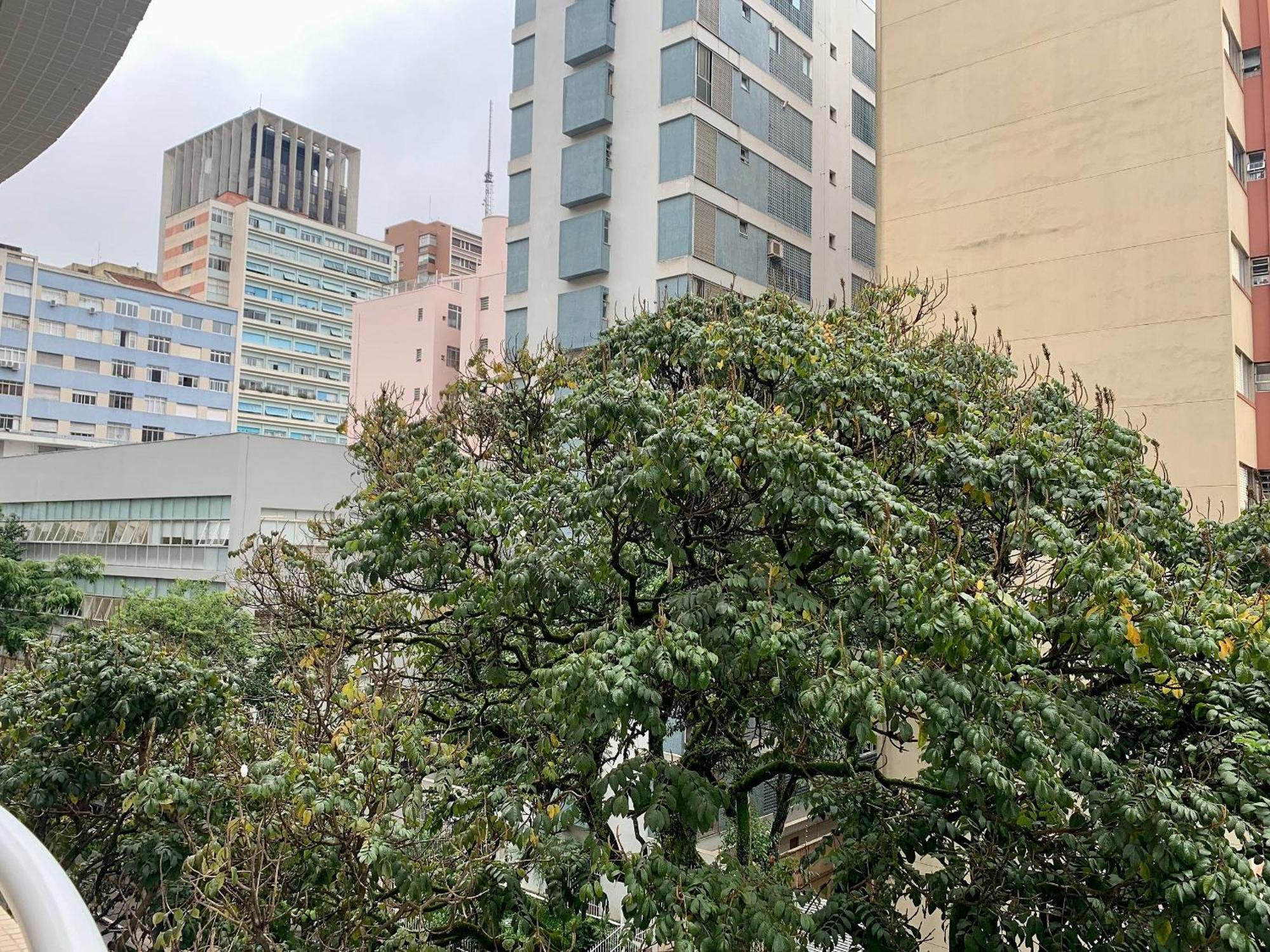 Ap 41 Paulista 2 Dorm C/ Garagem Daire