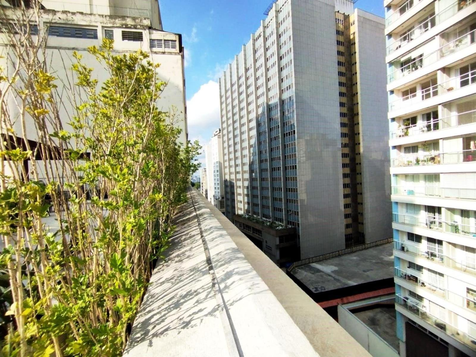 Kaza Noah Jacques Pilon Centro Tatil Evi Sao Paulo