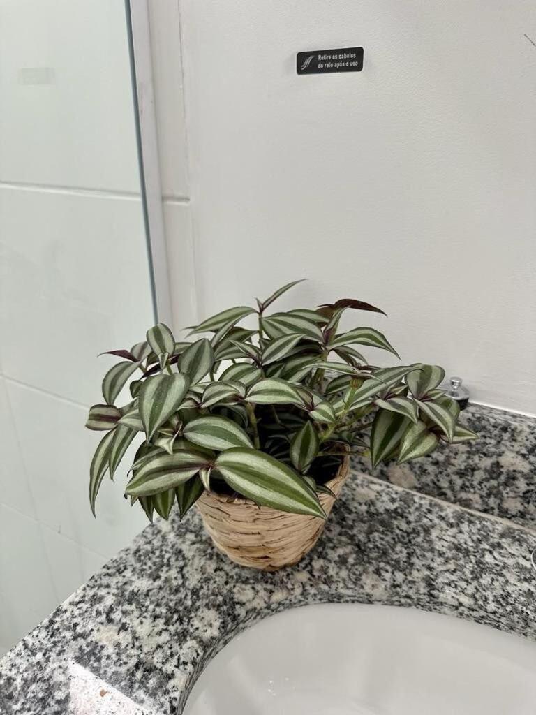 Sossegado Studio No Bras Com Piscina/metro Bras Apartment São Paulo