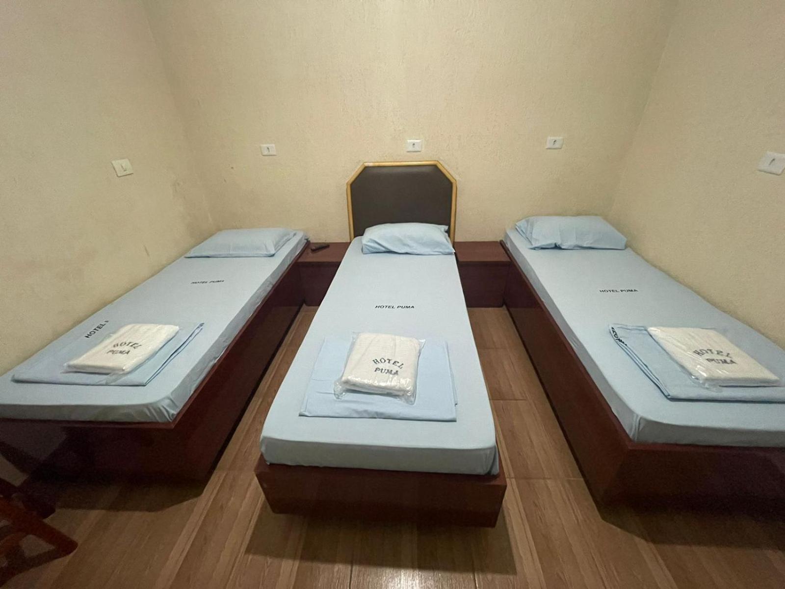 Hotel Puma 2*