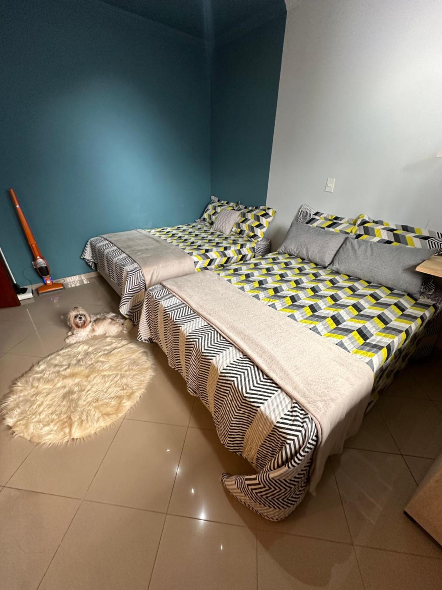 Linda Casa Na Penha Proximo Metro Shopping Facil Acesso Guarulhos E Arena Corinthians Ferienhaus *