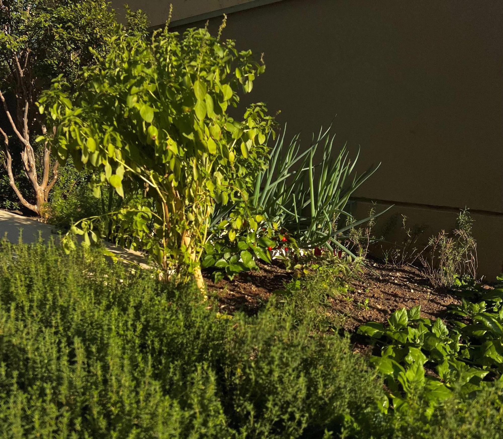 1402 Vnma Studio - Jardins - Proximo Oscar Freire Sao Paulo