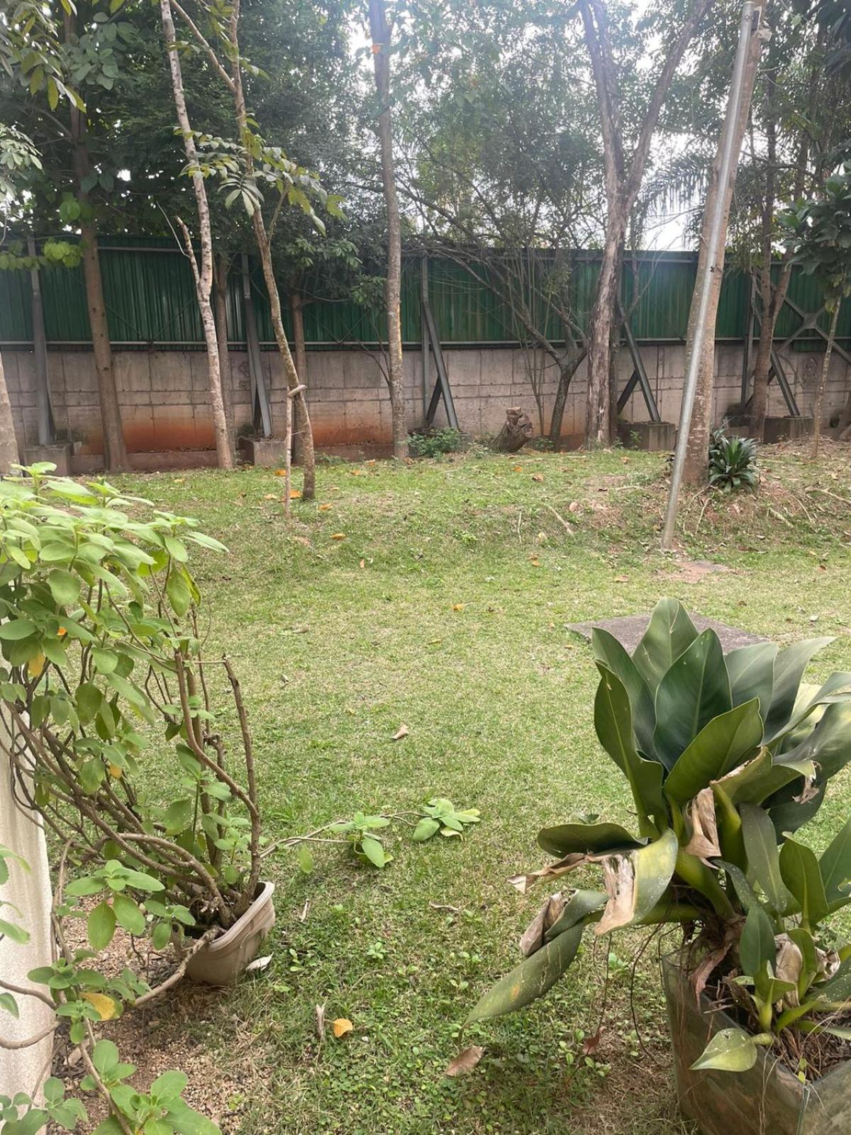 Interlagos -aluguel Apenas Do Homestay Sao Paulo