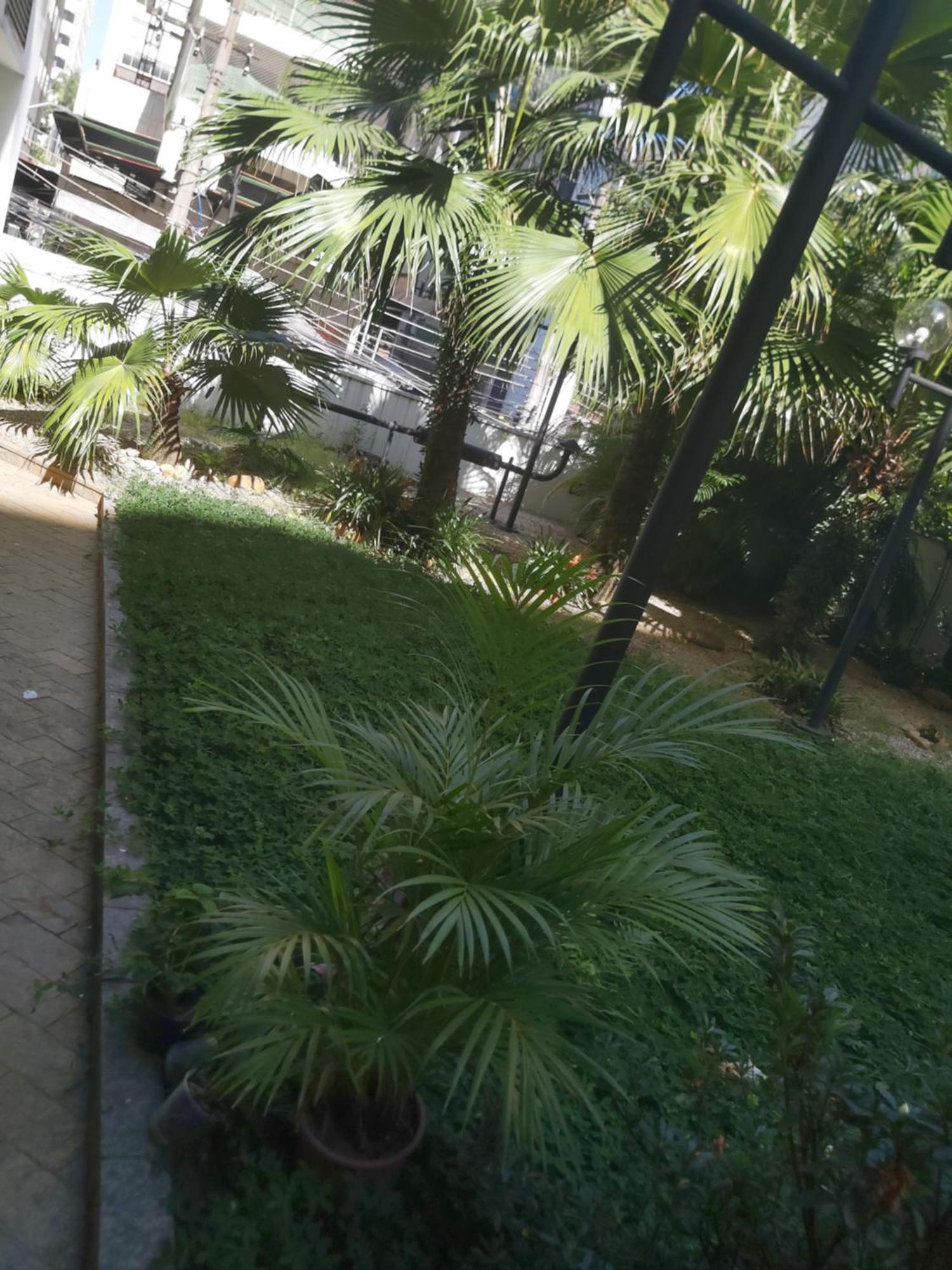 M-flat Gold - Paulista 4*