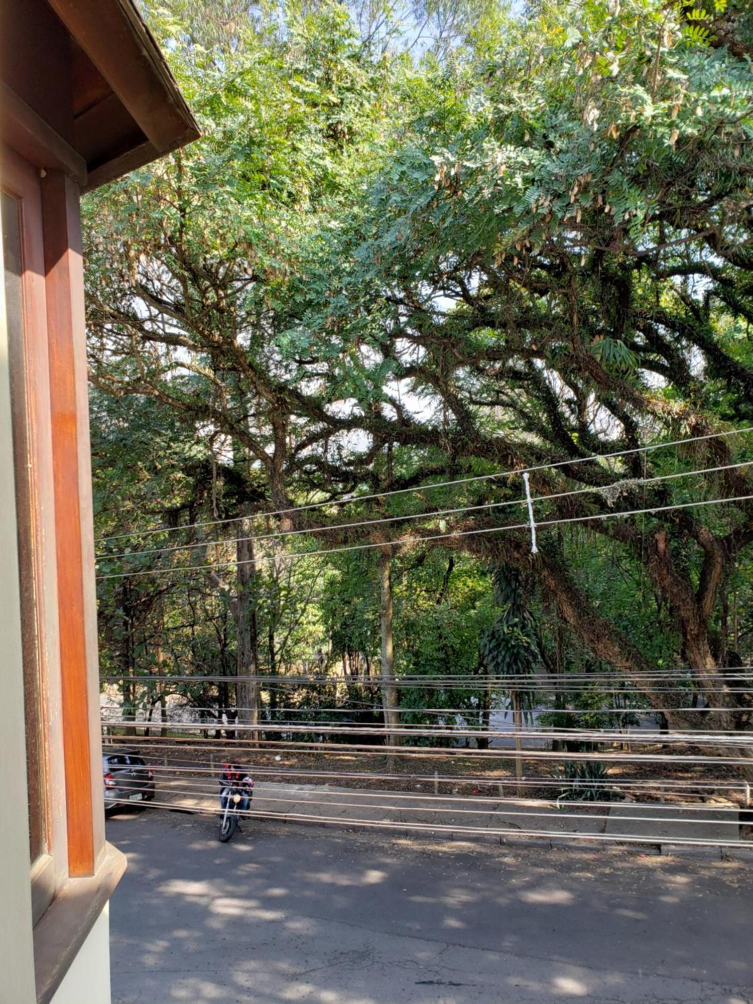 Monte Siao