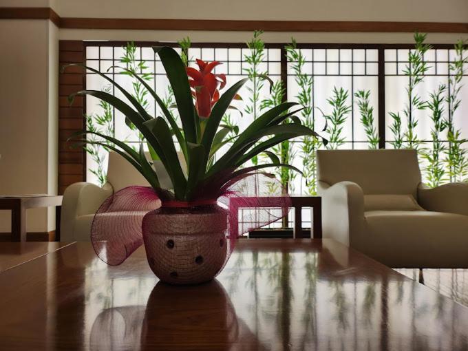 Luz Plaza Hotel Sao Paulo