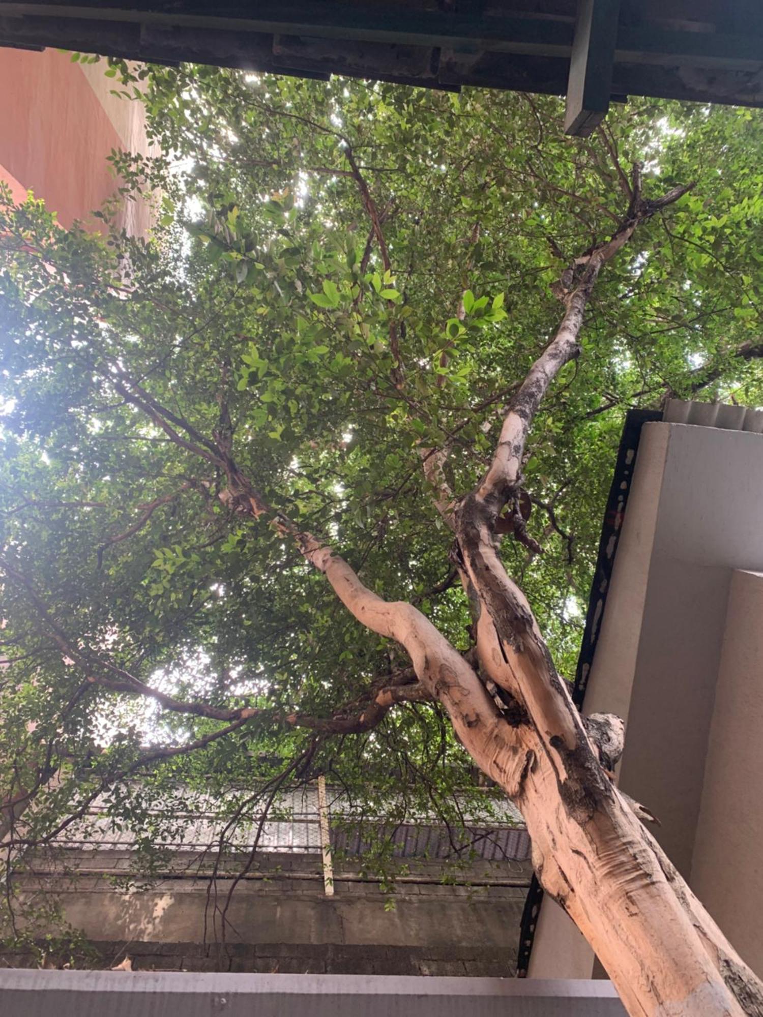 Individual Wisma tamu