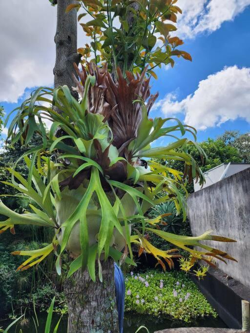 Nhà nghỉ Rancho Da Diversao Com 4 Quartos *
