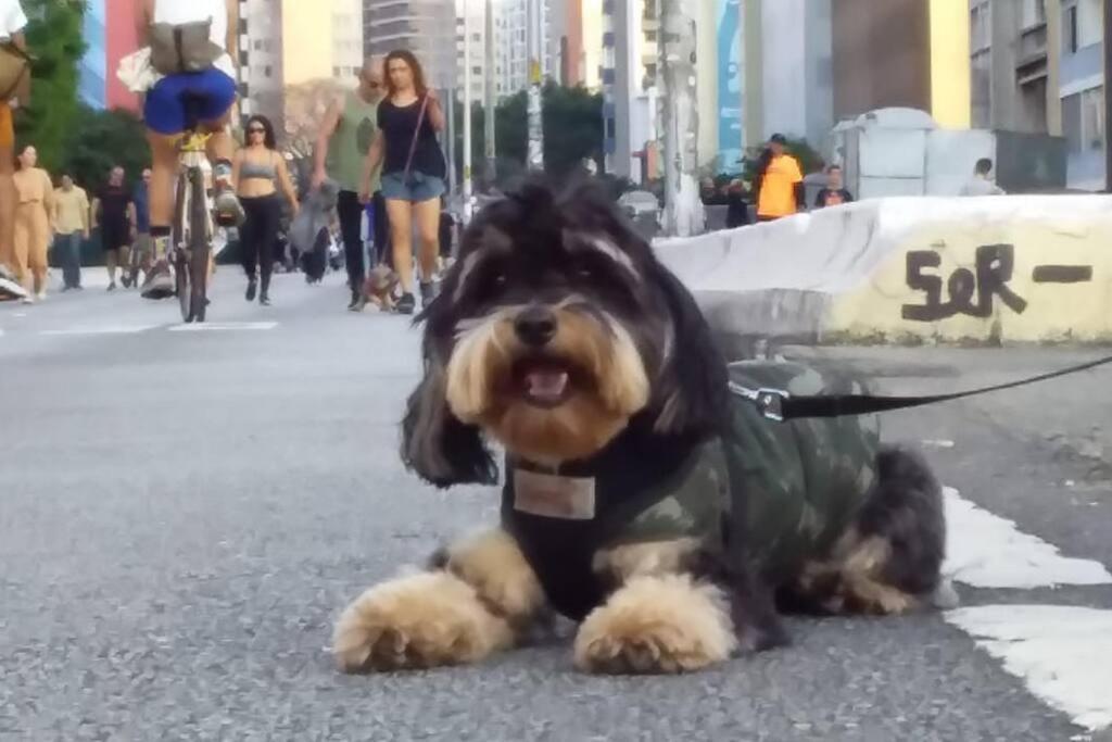 Boulevard Sao Paulo