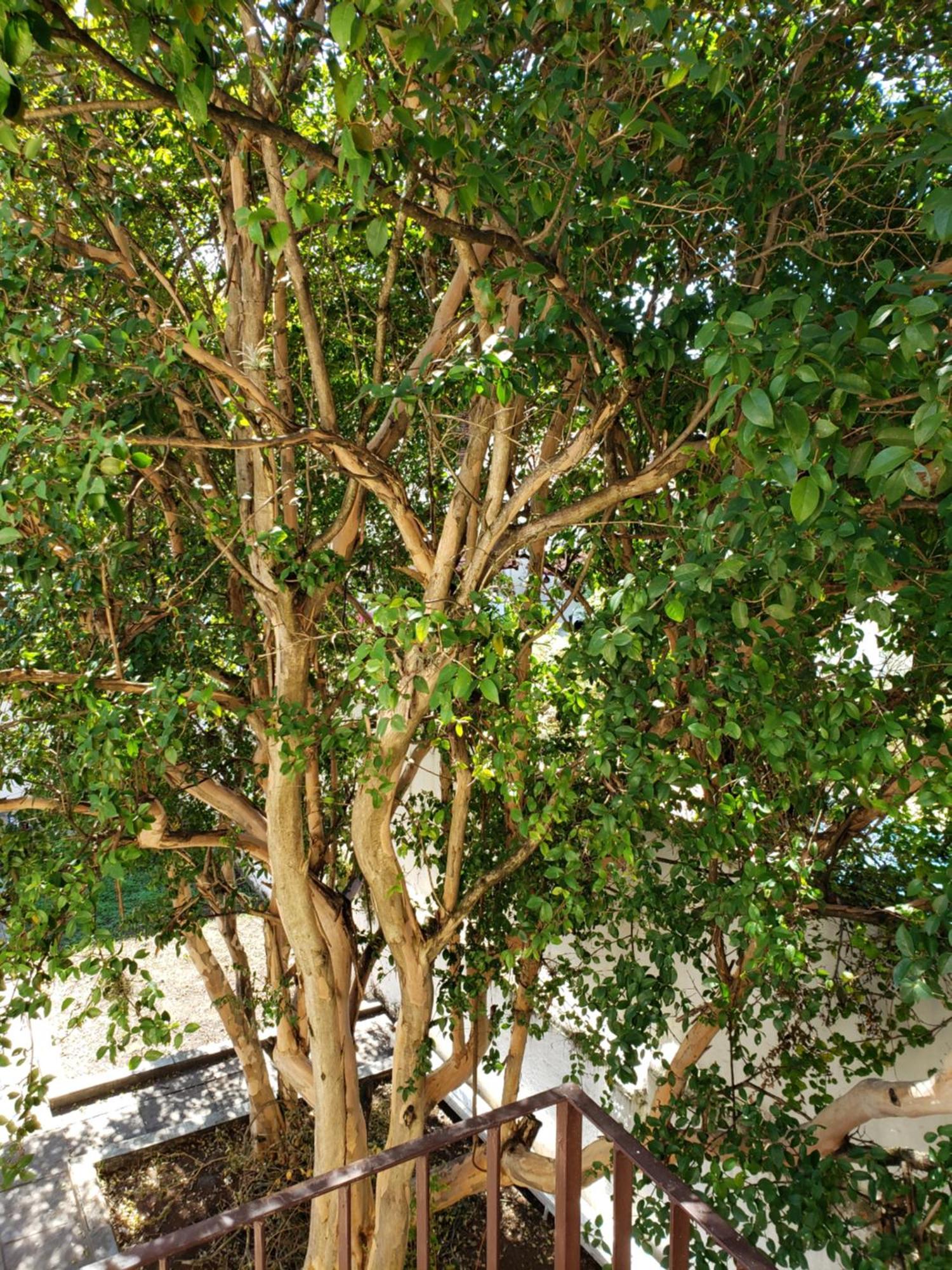 Monte Gerizim