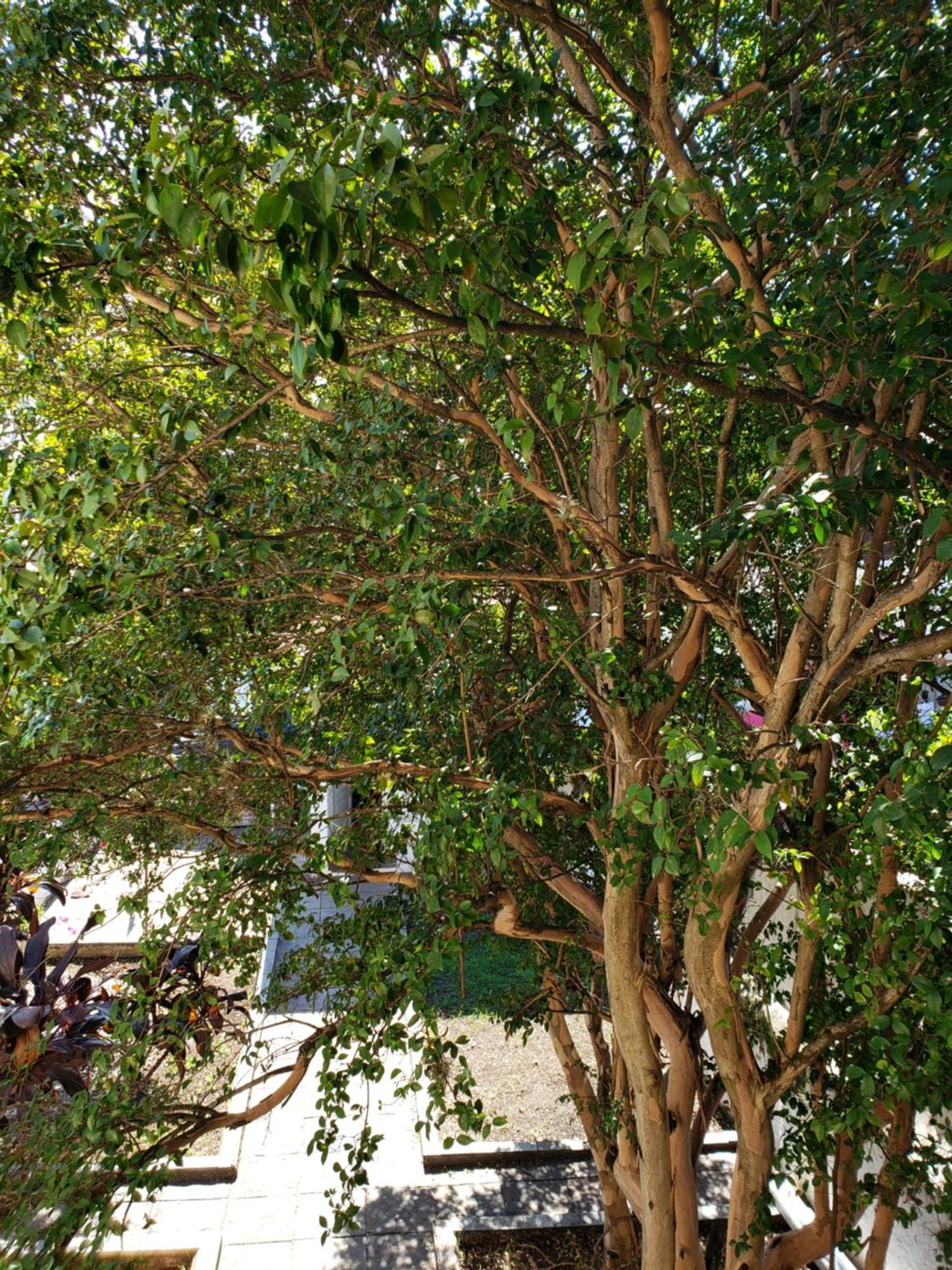 Monte Gerizim Inn