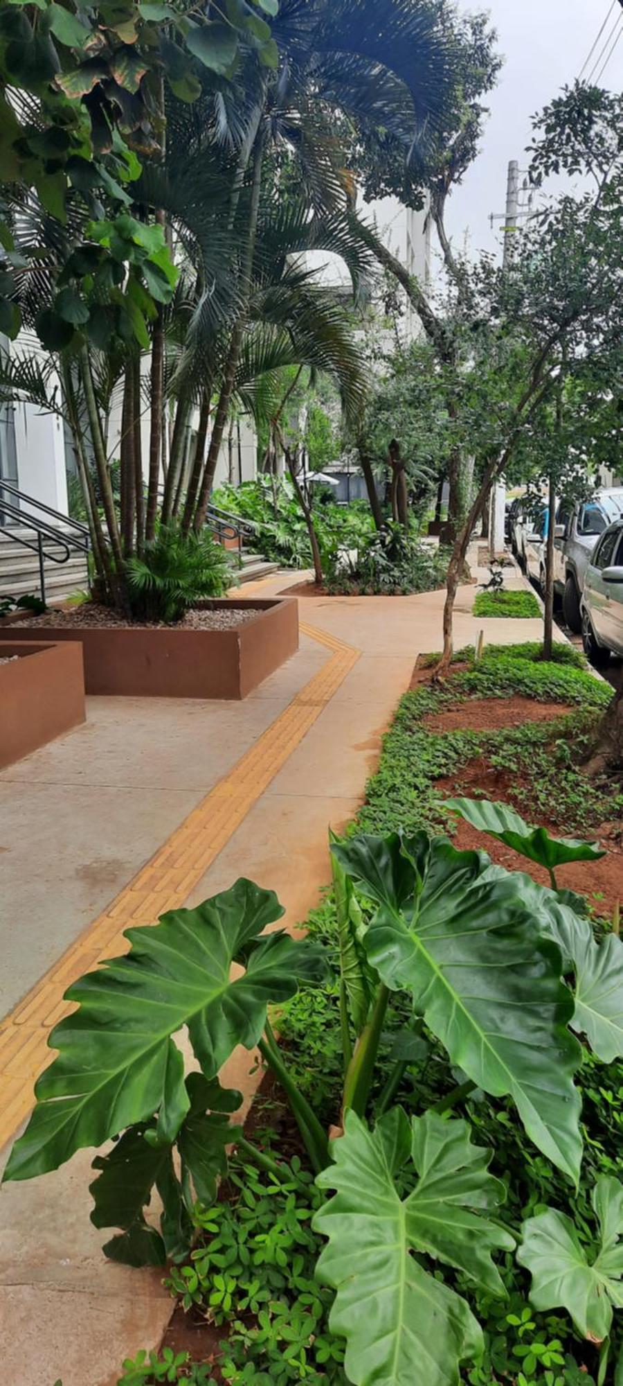 515 Tipo No Bairro Brooklin Sao Paulo-sp * São Paulo