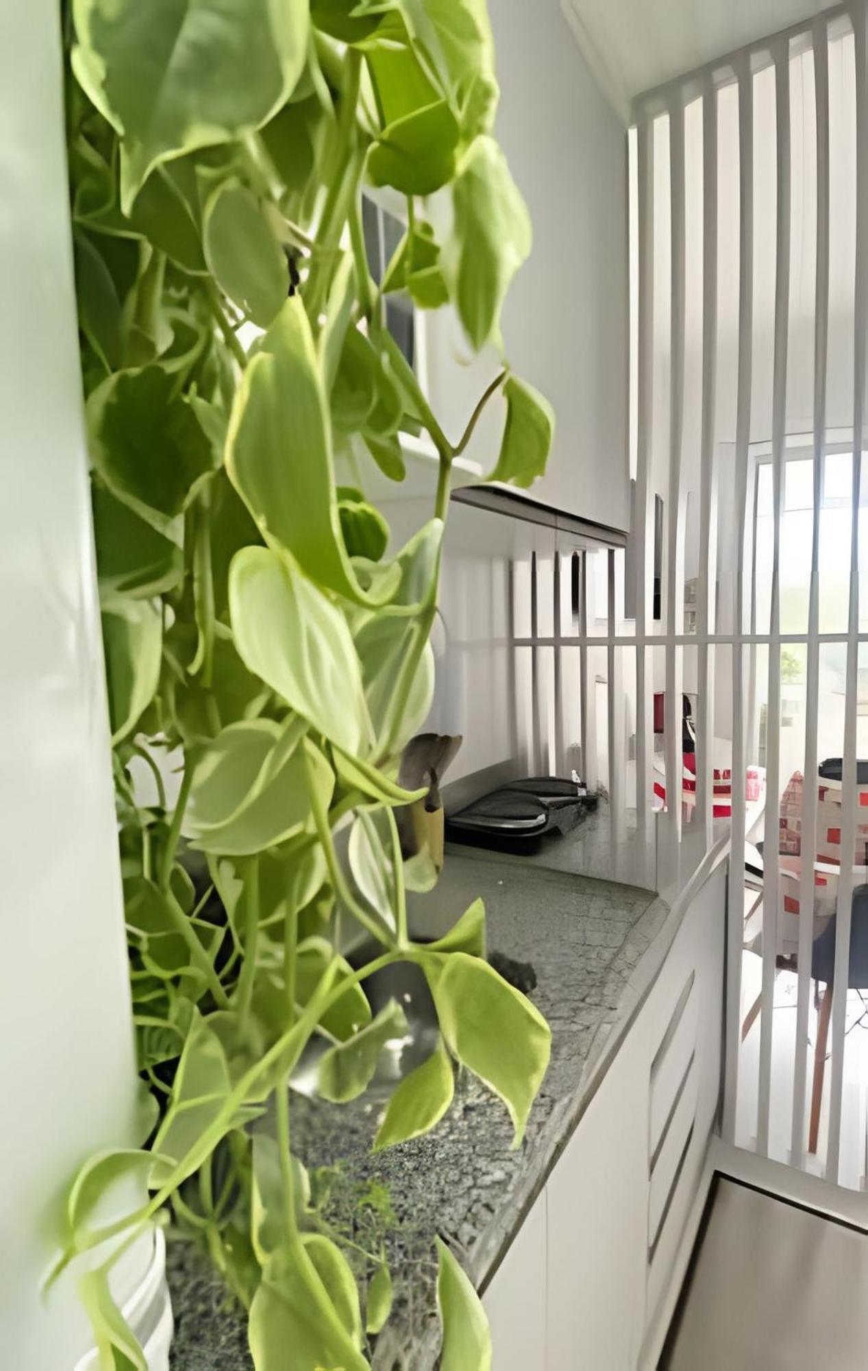 Charme E Conforto Prox Ao Metro - Usp _jockey Holiday home
