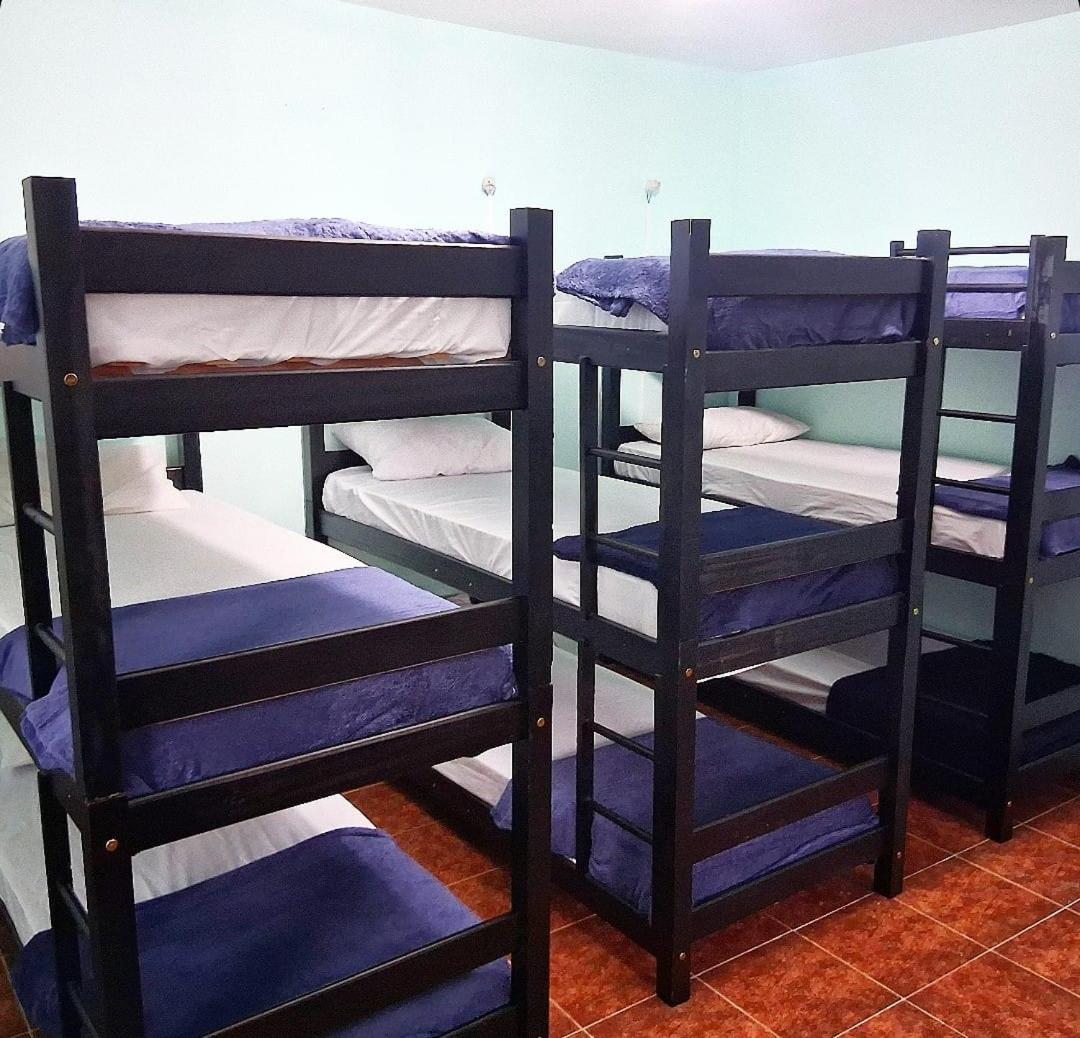 Casa Fractal Homestay Sao Paulo