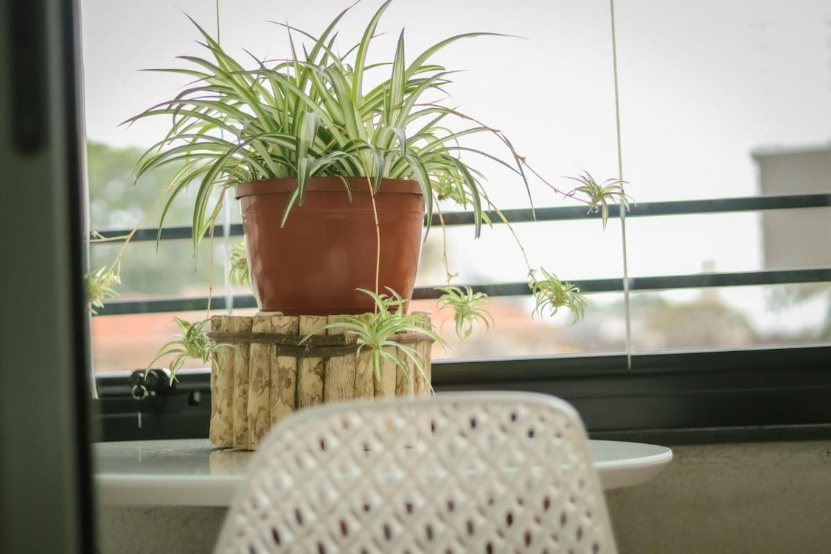 Apartment Zen | Conforto E Paz *