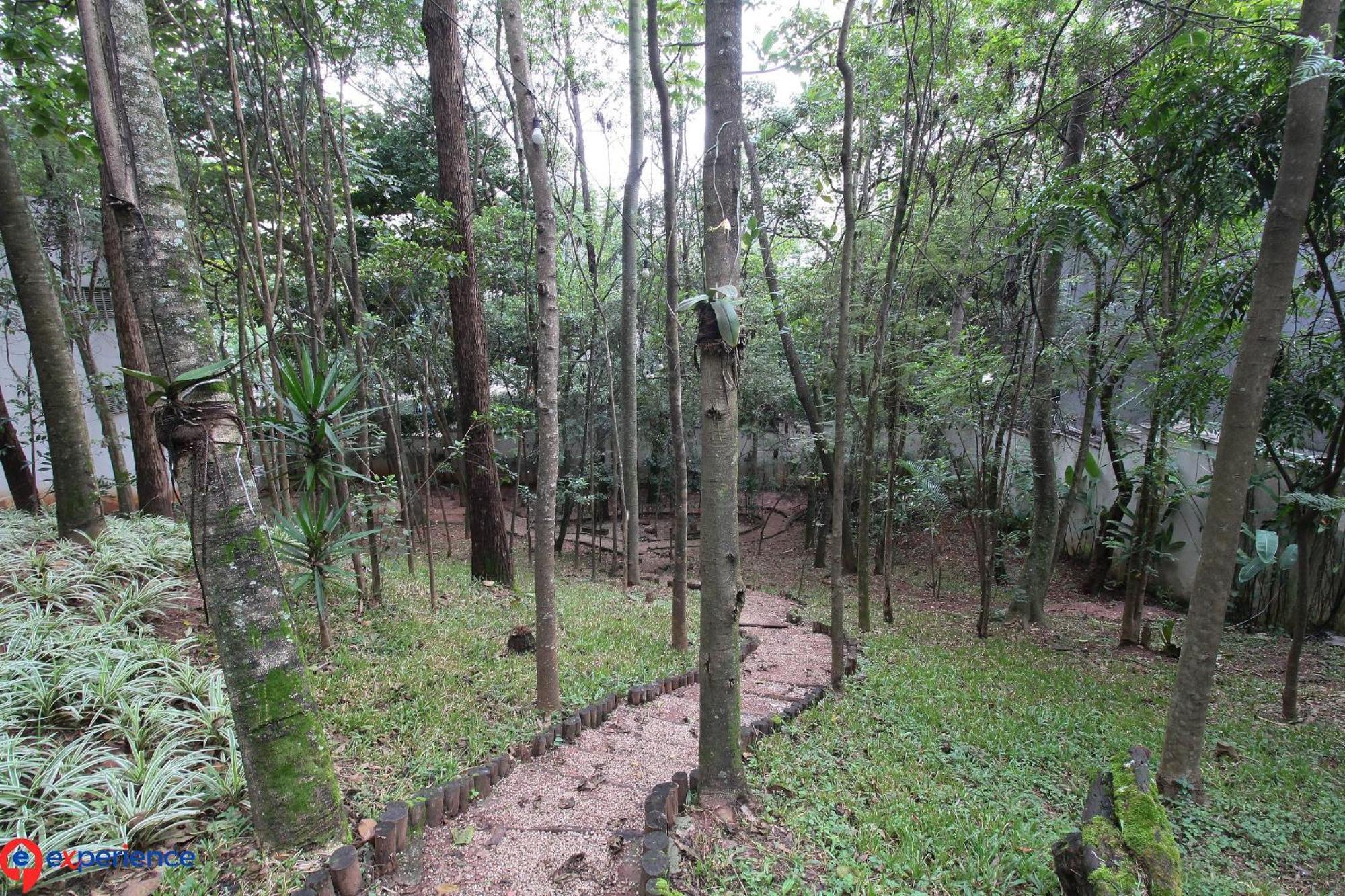No Morumbi Sao Paulo