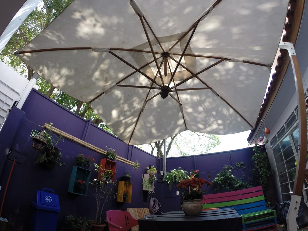 Purple House * São Paulo