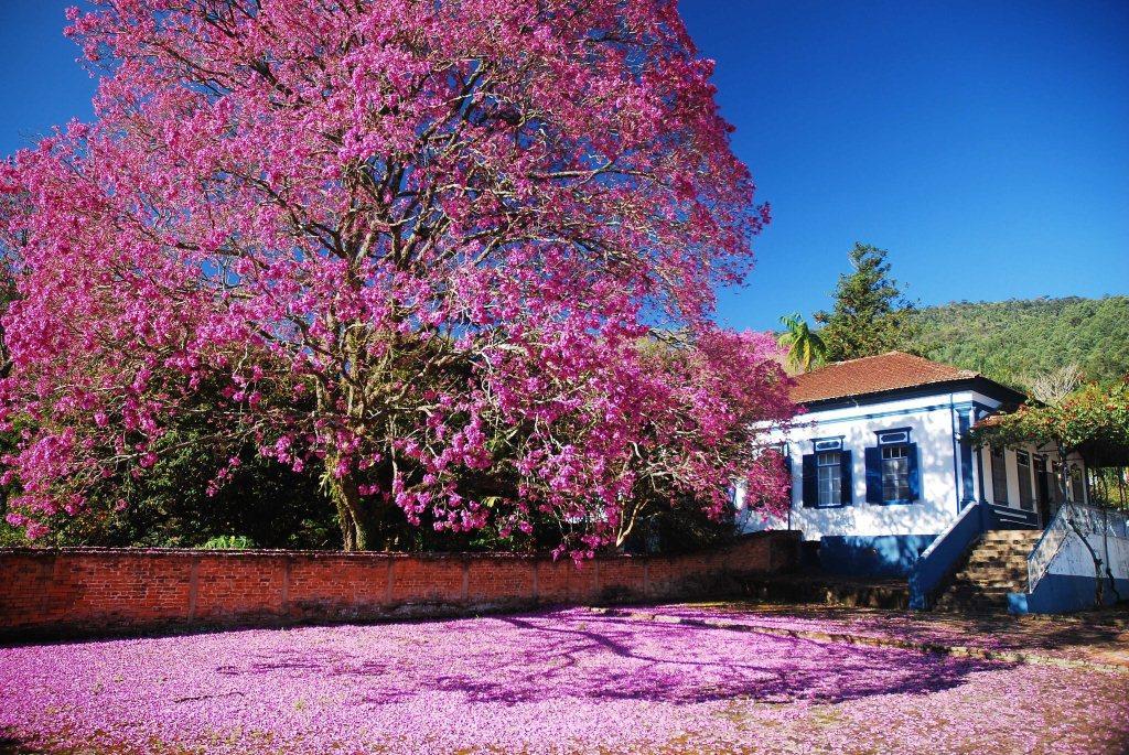 Da Fazenda
