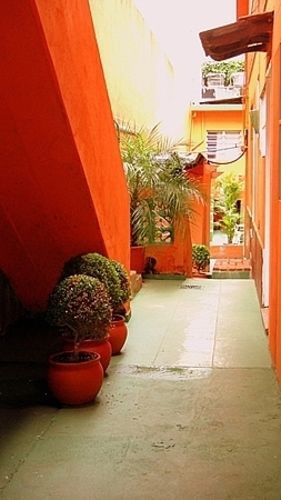 E Economica - Bairro Pinheiros, Proximo Hospital Clinicas E Incor, Oscar Freire, Av Paulista, Allianz, Madalena E Facil Acesso Ao Ibirapuera E Morumbi Hostel *