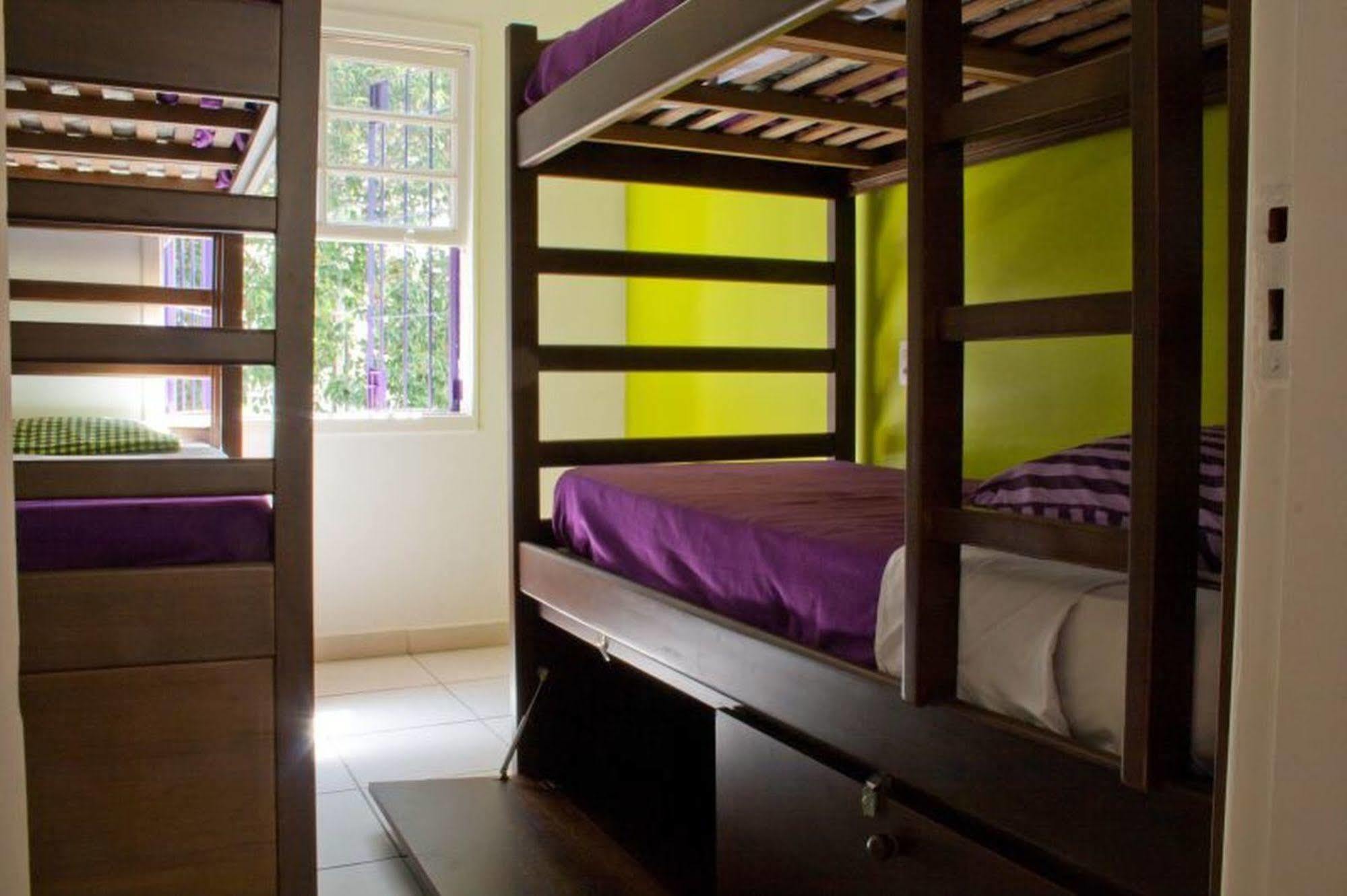 Purple House * São Paulo