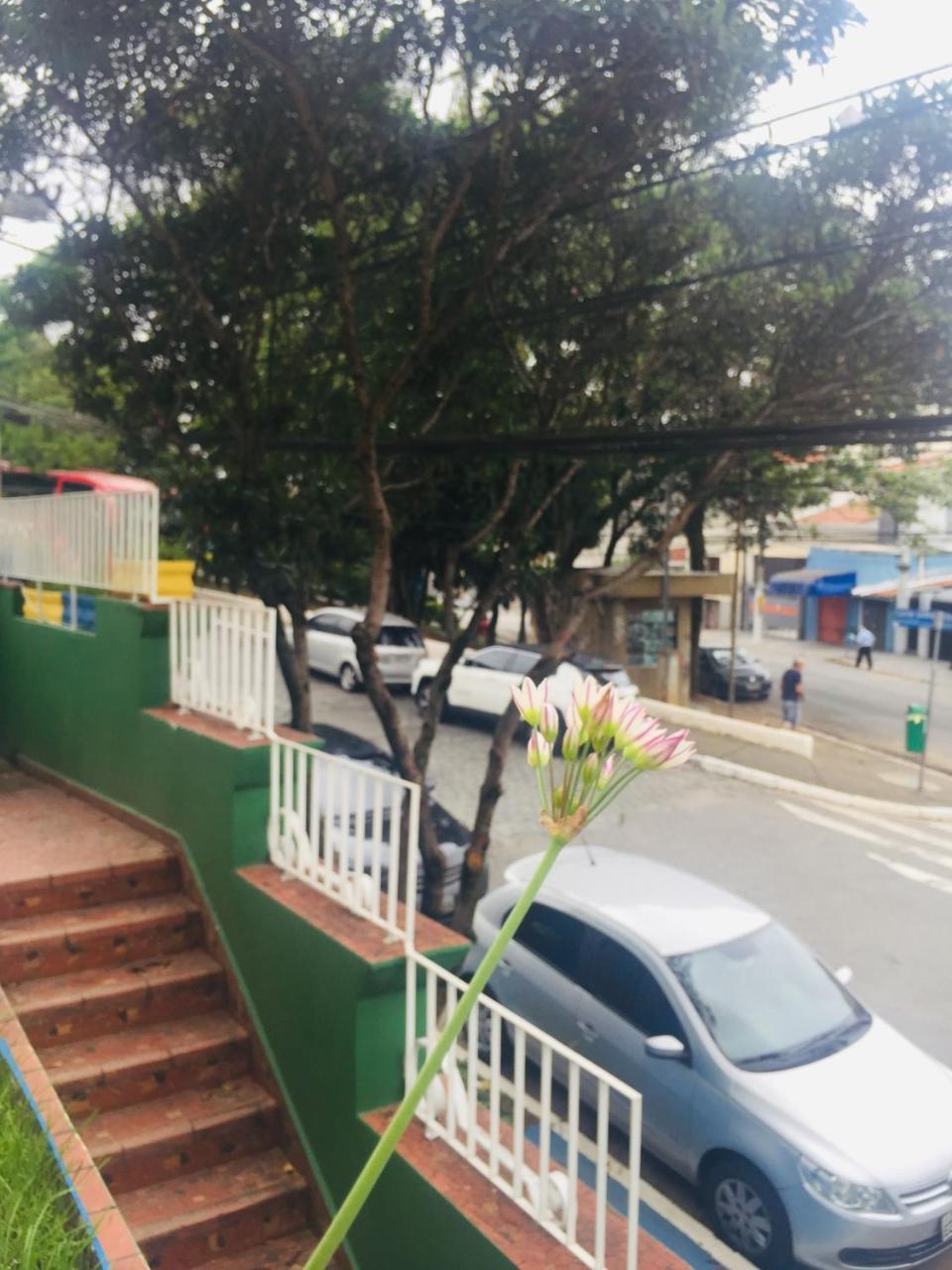 Brasil Sp * Sao Paulo