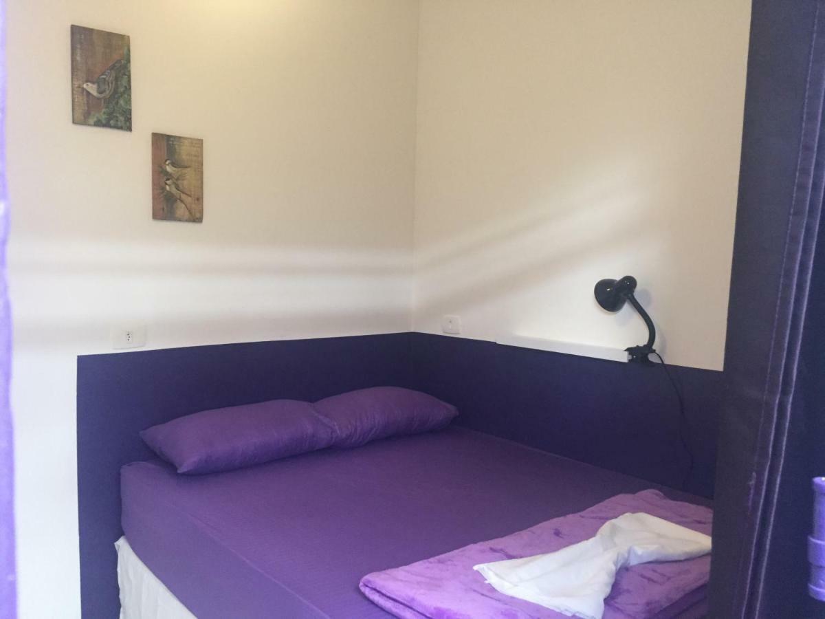 Purple House * São Paulo