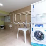 Apto De 1 Dorm - Tucuruvi 2