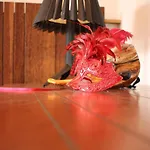 Design E Sofisticacao Em Higienopolis