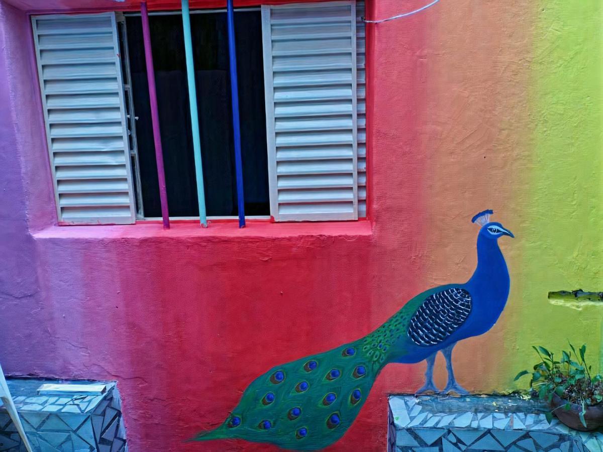 Wanderlust G Sao Paulo