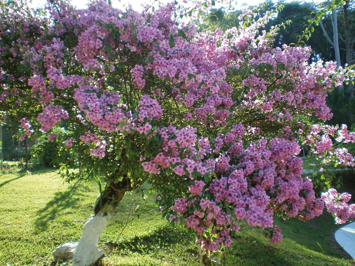 Linda Chacara, Sossego E Piscina Tatil Evi *