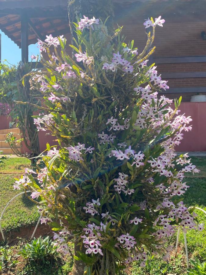 Holiday home Chacara Cantinho Que Deus Me Deu