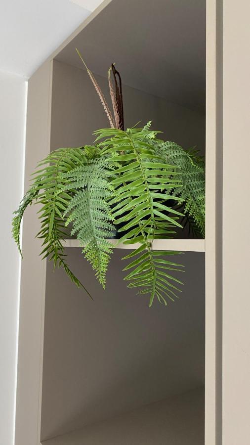 Daire Loft Nest