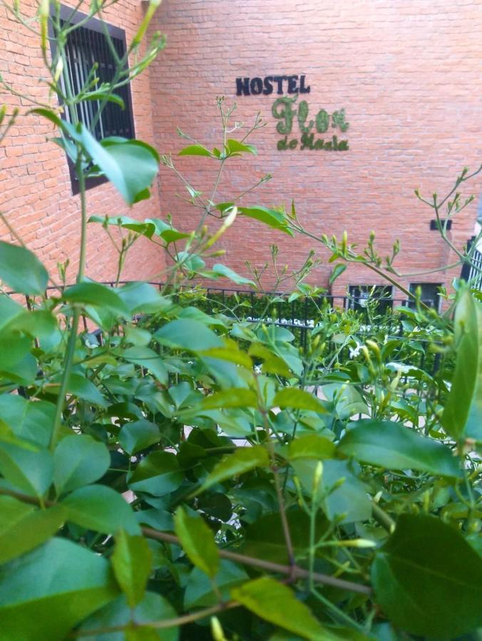 Flor De Maria * São Paulo