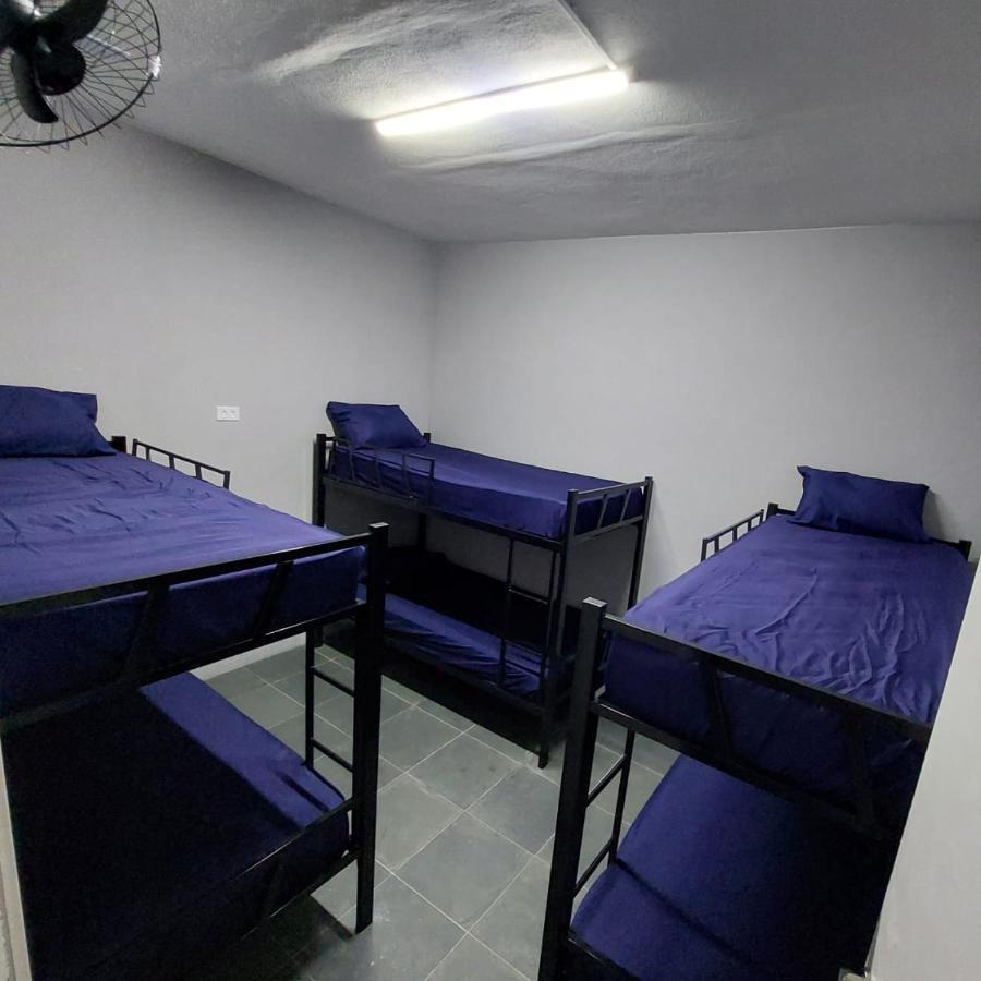 Hostel Bras *